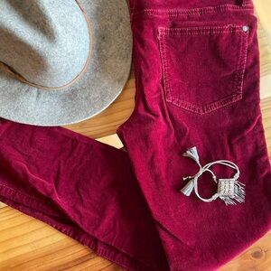 ANTHRO Wine Colored 🍷 Fine Gauge Corduroy Pants with Zipper ankles ‼️